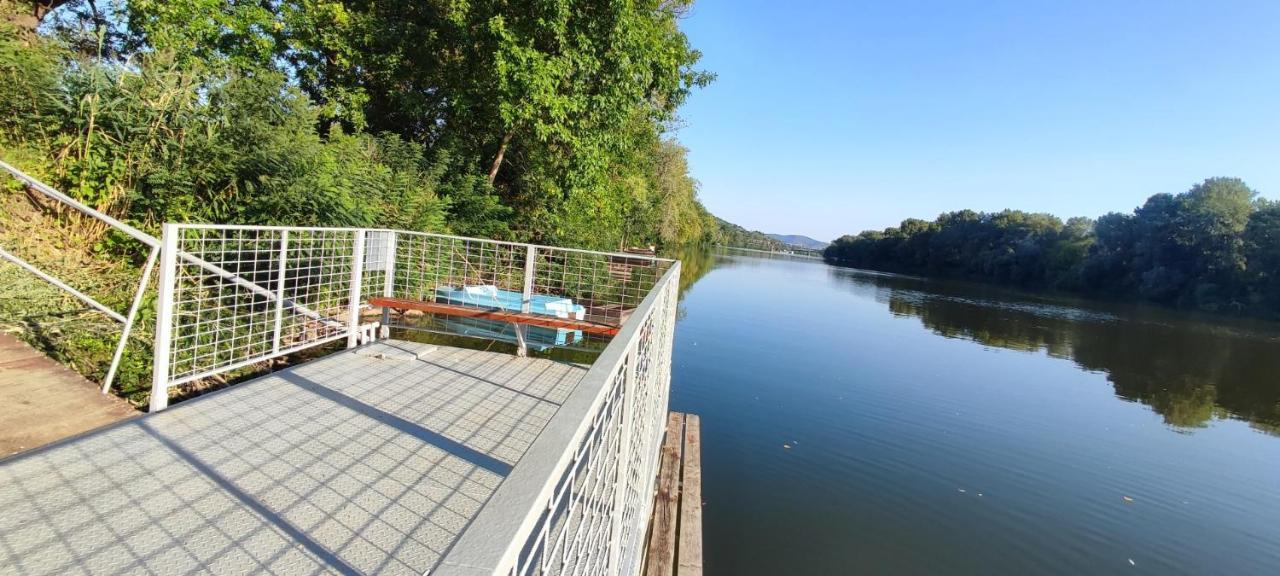 Gyepszel Panzio Tokaj Bed & Breakfast Ngoại thất bức ảnh